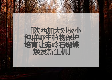 陕西加大对极小种群野生植物保护培育让秦岭石蝴蝶焕发新生机