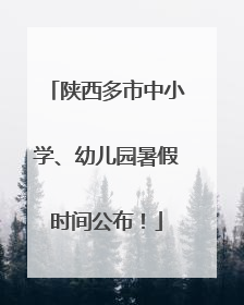陕西多市中小学、幼儿园暑假时间公布！