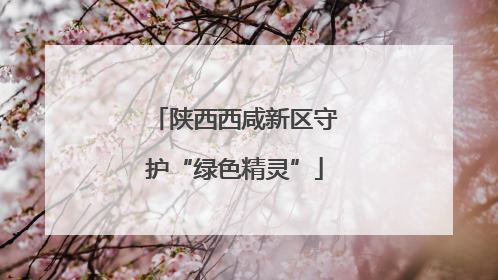 陕西西咸新区守护“绿色精灵”