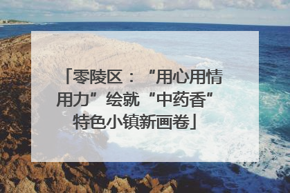 零陵区：“用心用情用力”绘就“中药香”特色小镇新画卷
