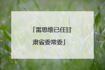 雷思维已任甘肃省委常委
