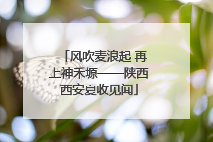 风吹麦浪起 再上神禾塬——陕西西安夏收见闻