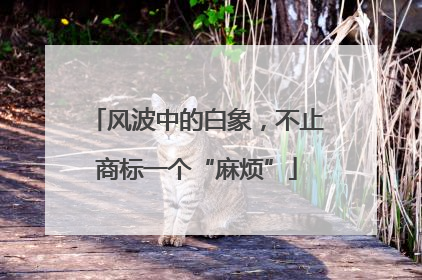 风波中的白象，不止商标一个“麻烦”