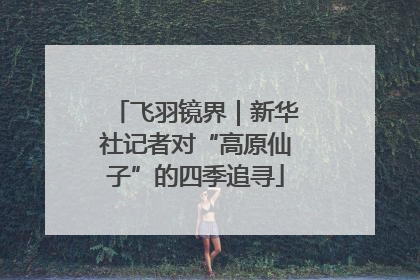飞羽镜界｜新华社记者对“高原仙子”的四季追寻