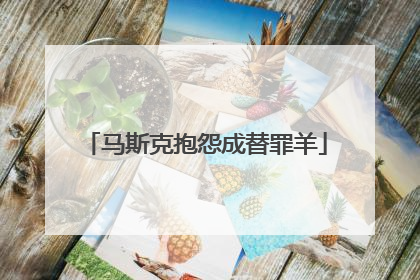 马斯克抱怨成替罪羊