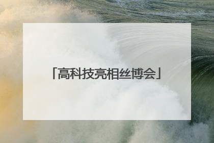 高科技亮相丝博会