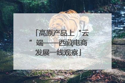 高原产品上“云”端——西藏电商发展一线观察