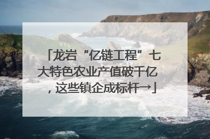 龙岩“亿链工程”七大特色农业产值破千亿，这些镇企成标杆→