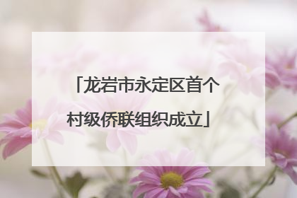 龙岩市永定区首个村级侨联组织成立