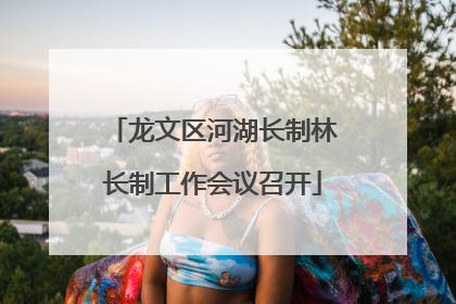 龙文区河湖长制林长制工作会议召开