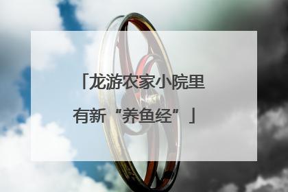 龙游农家小院里有新“养鱼经”