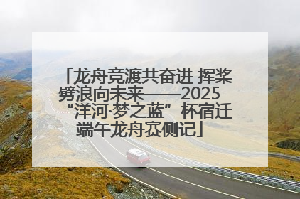 龙舟竞渡共奋进 挥桨劈浪向未来——2025“洋河·梦之蓝”杯宿迁端午龙舟赛侧记