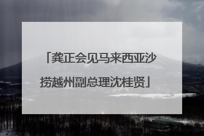 龚正会见马来西亚沙捞越州副总理沈桂贤