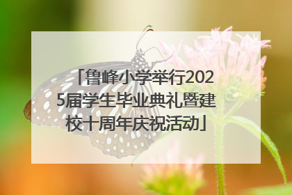 鲁峰小学举行2025届学生毕业典礼暨建校十周年庆祝活动