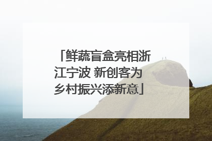 鲜蔬盲盒亮相浙江宁波 新创客为乡村振兴添新意