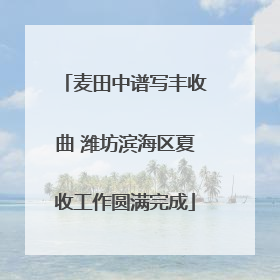 麦田中谱写丰收曲 潍坊滨海区夏收工作圆满完成