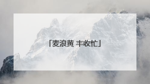 麦浪黄 丰收忙