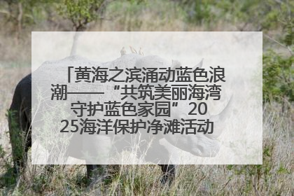黄海之滨涌动蓝色浪潮——“共筑美丽海湾 守护蓝色家园”2025海洋保护净滩活动暨“美丽江苏—江河湖海青蓝行”海洋篇在连云港举行