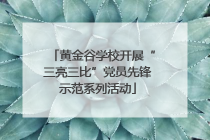 黄金谷学校开展“三亮三比”党员先锋示范系列活动