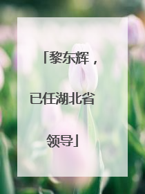 黎东辉，已任湖北省领导