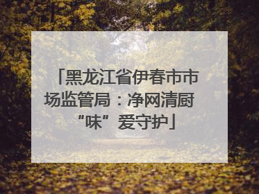黑龙江省伊春市市场监管局：净网清厨 “味”爱守护