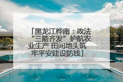 黑龙江桦南：政法“三箭齐发”护航农业生产 田间地头筑牢平安建设防线