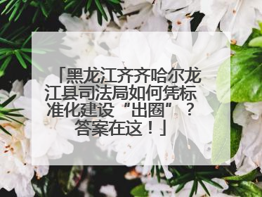 黑龙江齐齐哈尔龙江县司法局如何凭标准化建设“出圈”？答案在这！