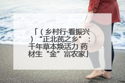 （乡村行·看振兴）“正北芪之乡”：千年草本焕活力 药材生“金”富农家