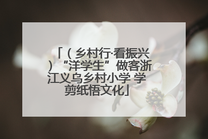 （乡村行·看振兴）“洋学生”做客浙江义乌乡村小学 学剪纸悟文化