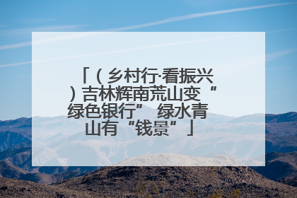 （乡村行·看振兴）吉林辉南荒山变“绿色银行” 绿水青山有“钱景”