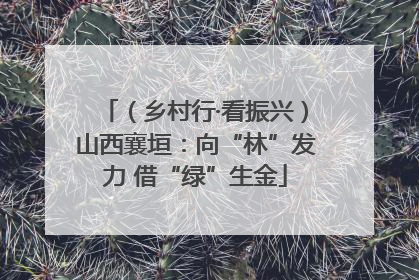 （乡村行·看振兴）山西襄垣：向“林”发力 借“绿”生金