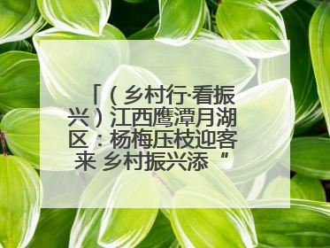 （乡村行·看振兴）江西鹰潭月湖区：杨梅压枝迎客来 乡村振兴添“梅”景