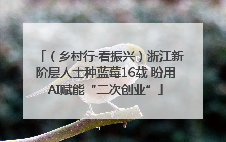 （乡村行·看振兴）浙江新阶层人士种蓝莓16载 盼用AI赋能“二次创业”