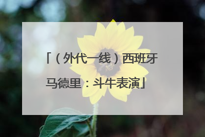 （外代一线）西班牙马德里：斗牛表演