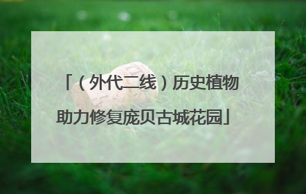 （外代二线）历史植物助力修复庞贝古城花园