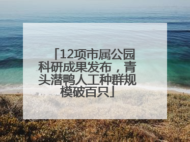 12项市属公园科研成果发布，青头潜鸭人工种群规模破百只