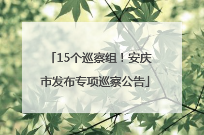 15个巡察组！安庆市发布专项巡察公告