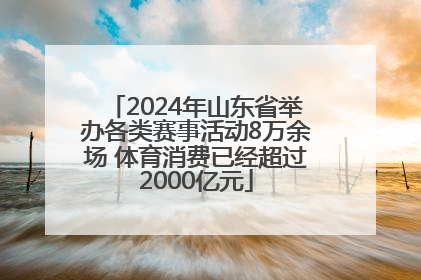 2024年山东省举办各类赛事活动8万余场 体育消费已经超过2000亿元