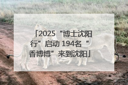 2025“博士沈阳行”启动 194名“香博博”来到沈阳