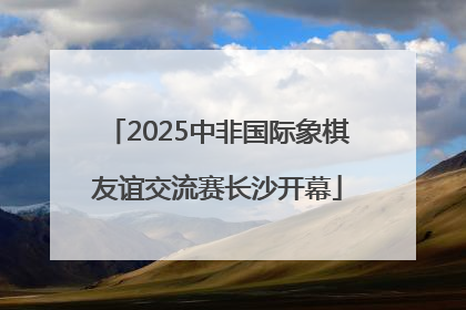 2025中非国际象棋友谊交流赛长沙开幕