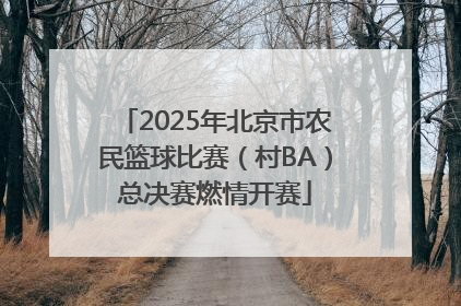 2025年北京市农民篮球比赛（村BA）总决赛燃情开赛