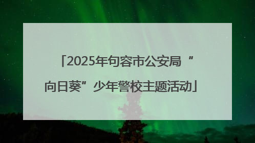 2025年句容市公安局“向日葵”少年警校主题活动