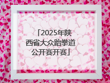 2025年陕西省大众跆拳道公开赛开赛
