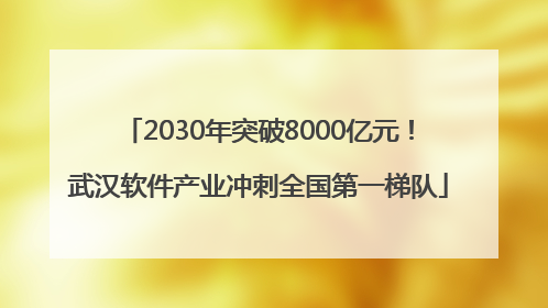 2030年突破8000亿元！武汉软件产业冲刺全国第一梯队