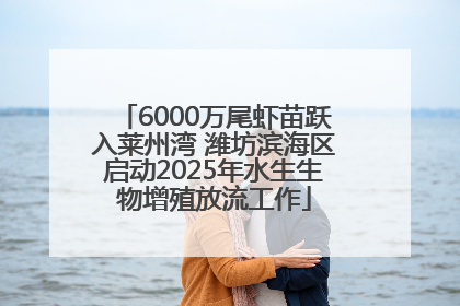 6000万尾虾苗跃入莱州湾 潍坊滨海区启动2025年水生生物增殖放流工作