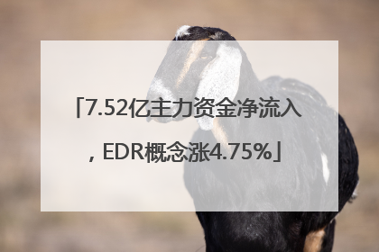 7.52亿主力资金净流入，EDR概念涨4.75%