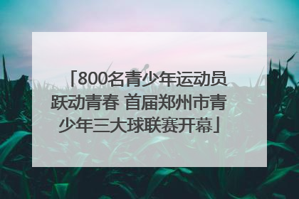 800名青少年运动员跃动青春 首届郑州市青少年三大球联赛开幕