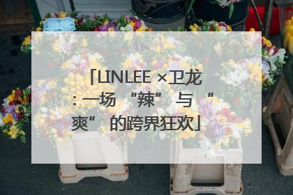 LINLEE ×卫龙：一场 “辣” 与 “爽” 的跨界狂欢